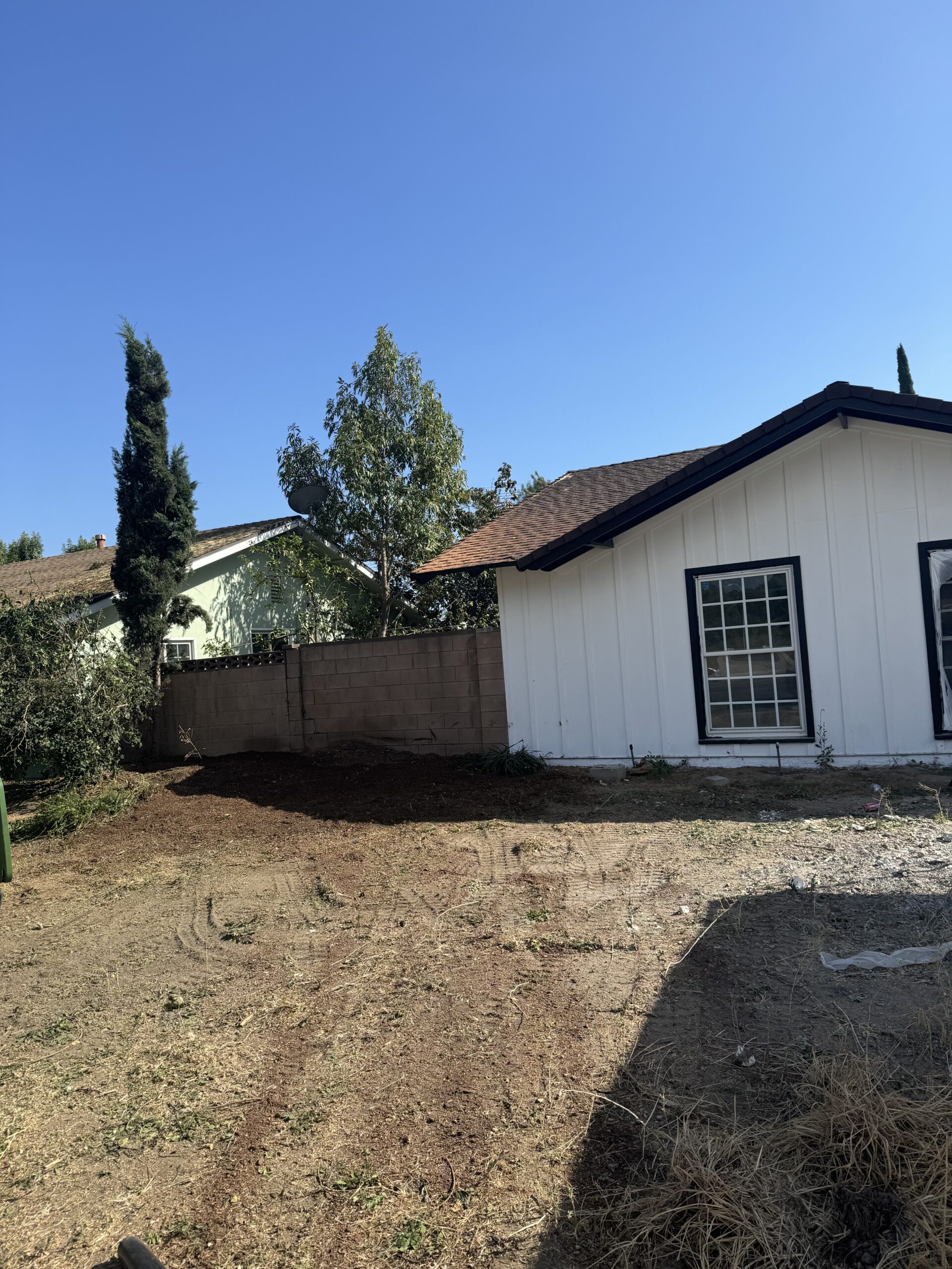 After tree removal — open, cleared yard in Los Angeles.