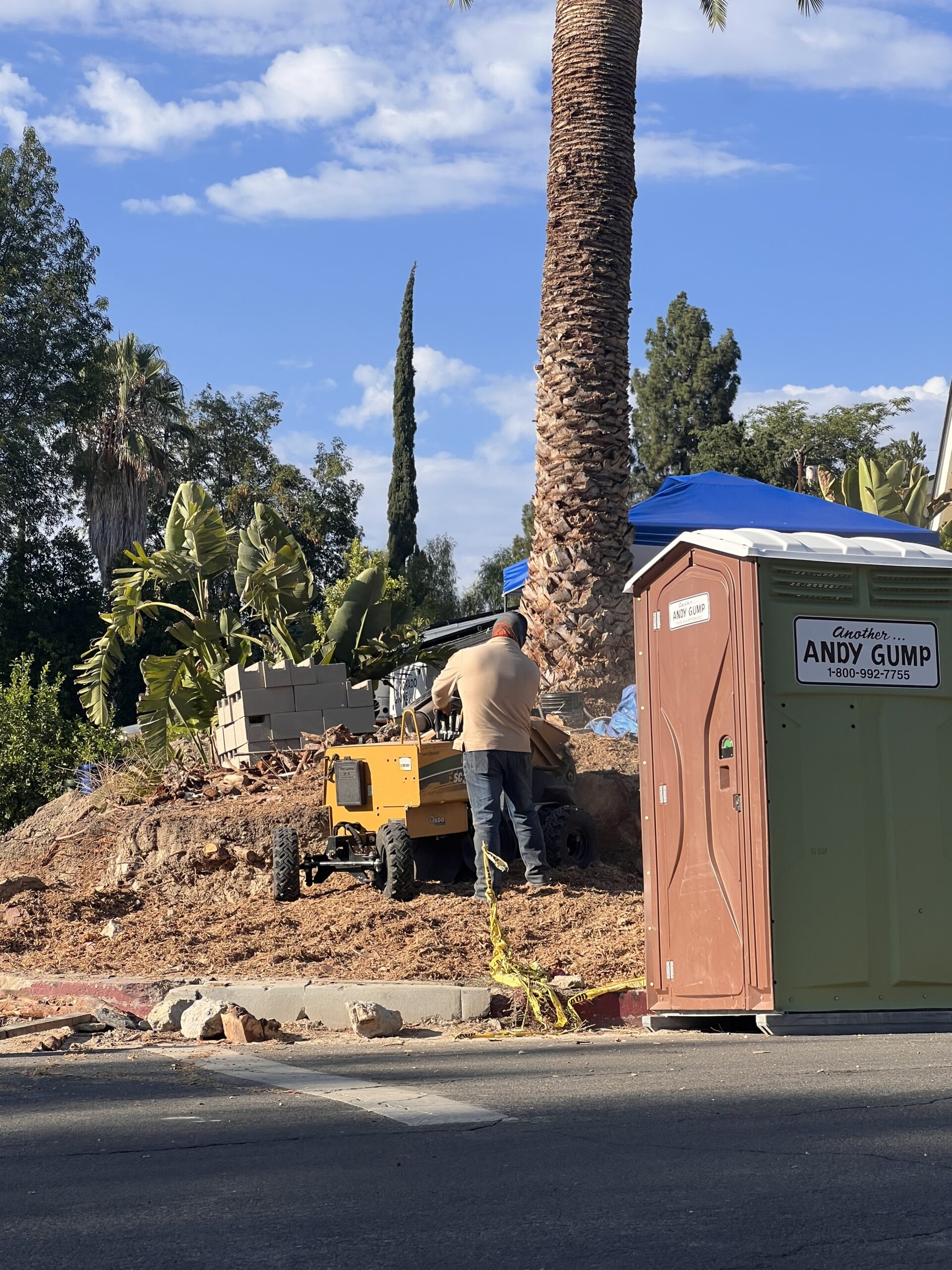 Stump grinding palm tree roots on a hillside residential property in Los Angeles, CA