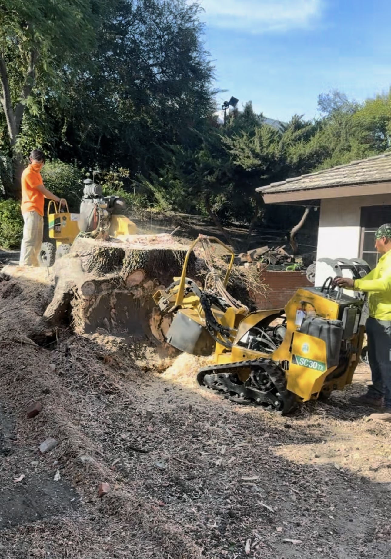 Tree stump being professionally removed below ground level using a stump grinder in Los Angeles, CA