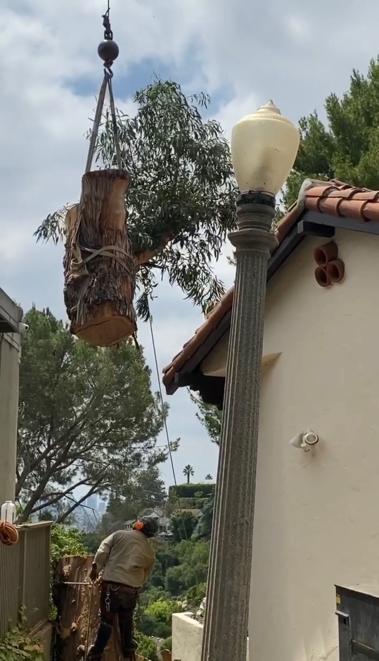 Safe and controlled tree removal in Los Angeles with expert equipment.