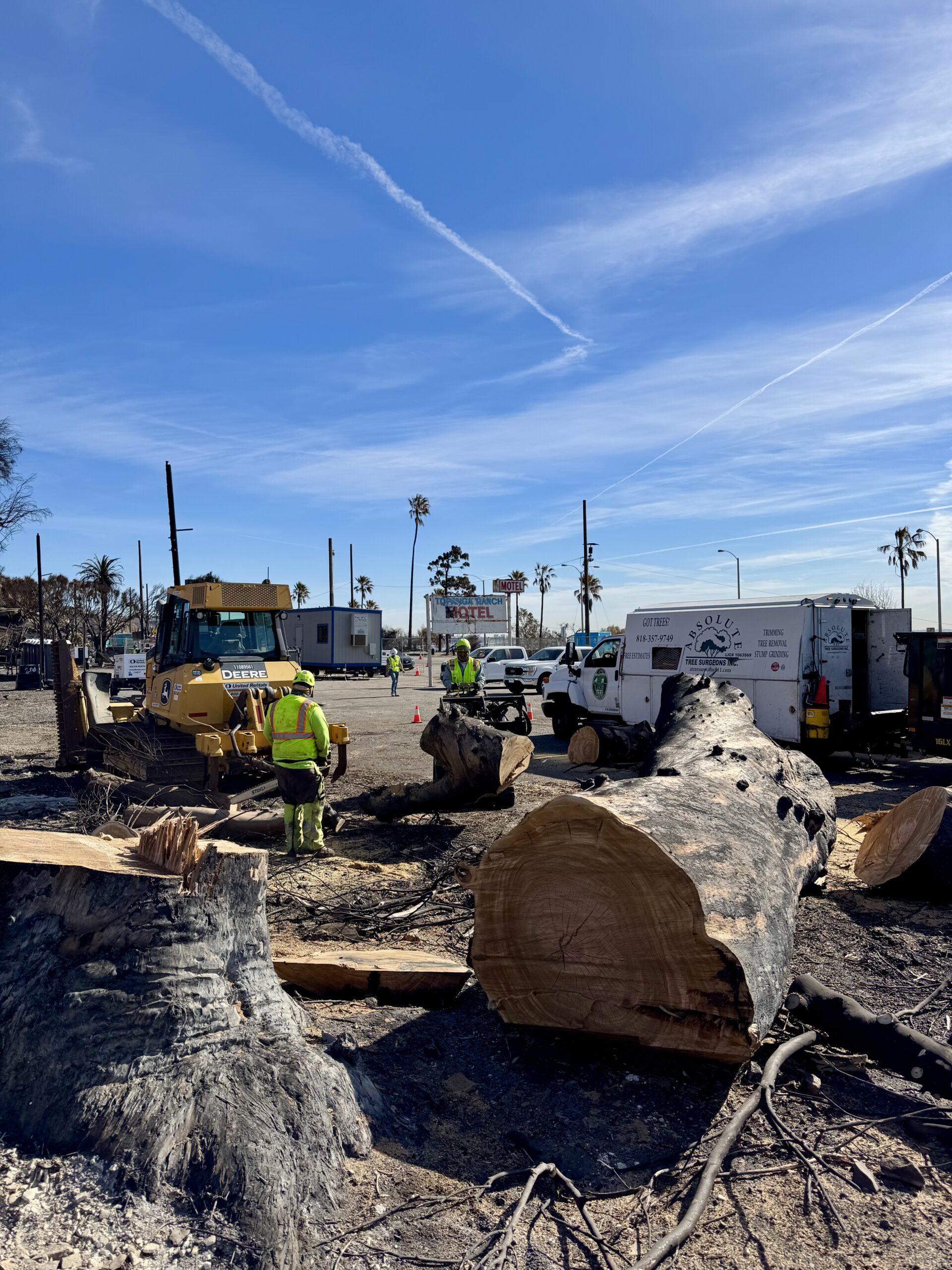 Post-fire tree removal and debris cleanup at a commercial property in Los Angeles