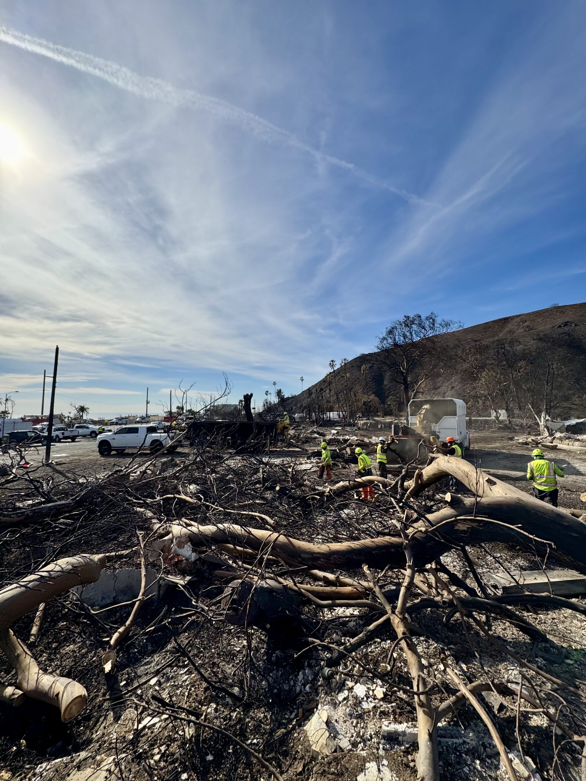 Post-fire tree removal and debris cleanup at a burned commercial site in Los Angeles