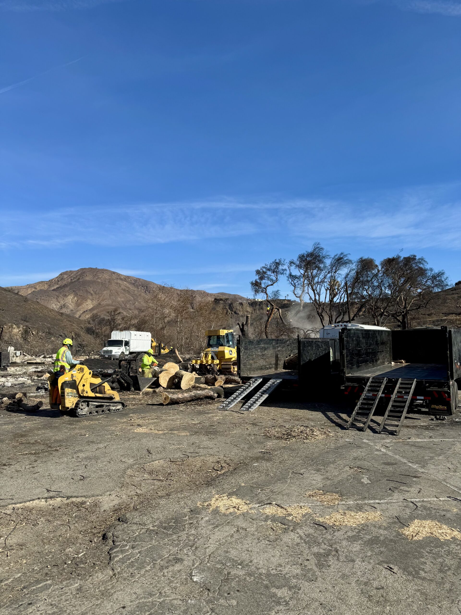 Post-fire tree removal and debris cleanup at a commercial property in Los Angeles