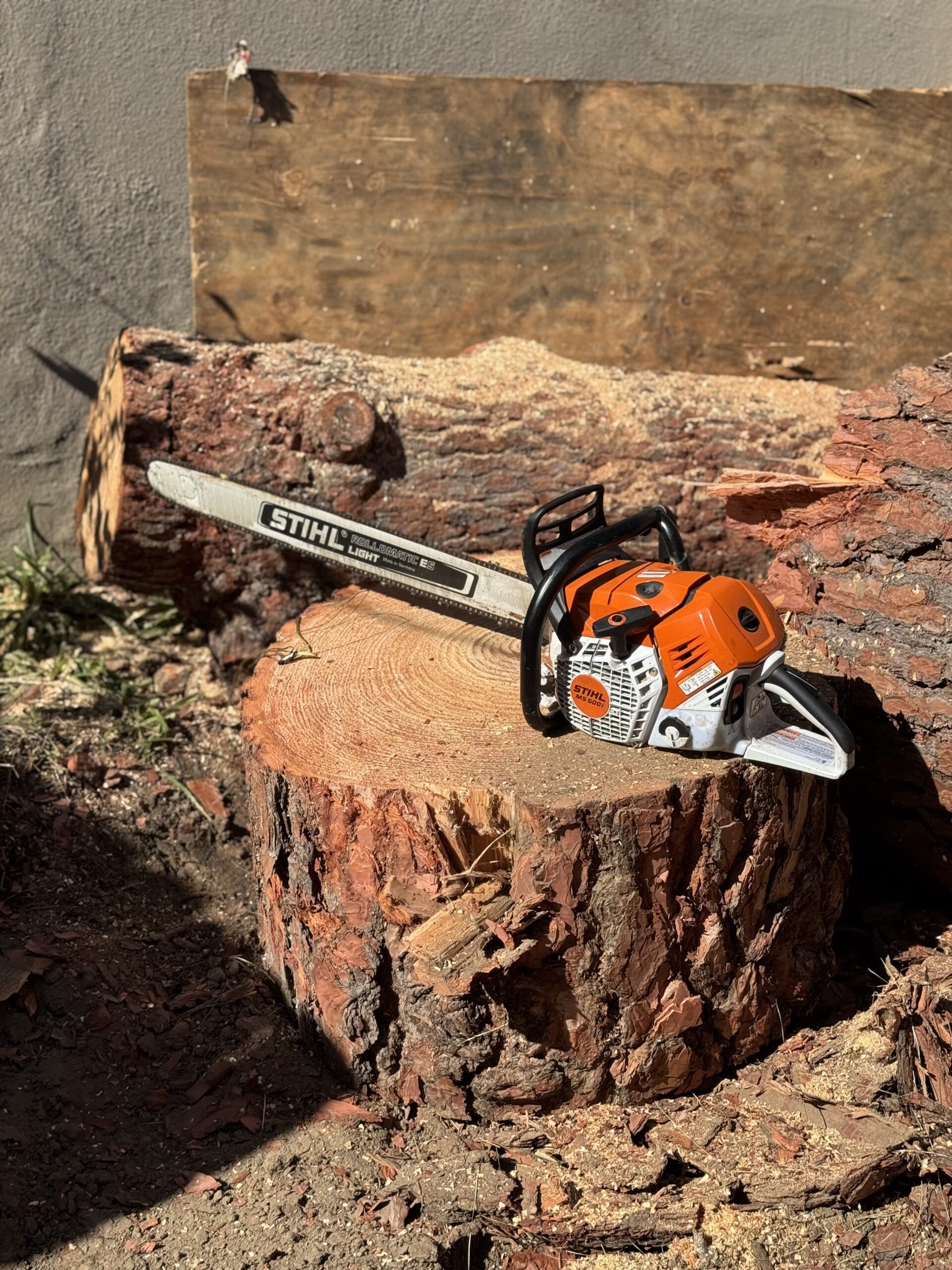 Professional tree removal services in Los Angeles — commercial property job.