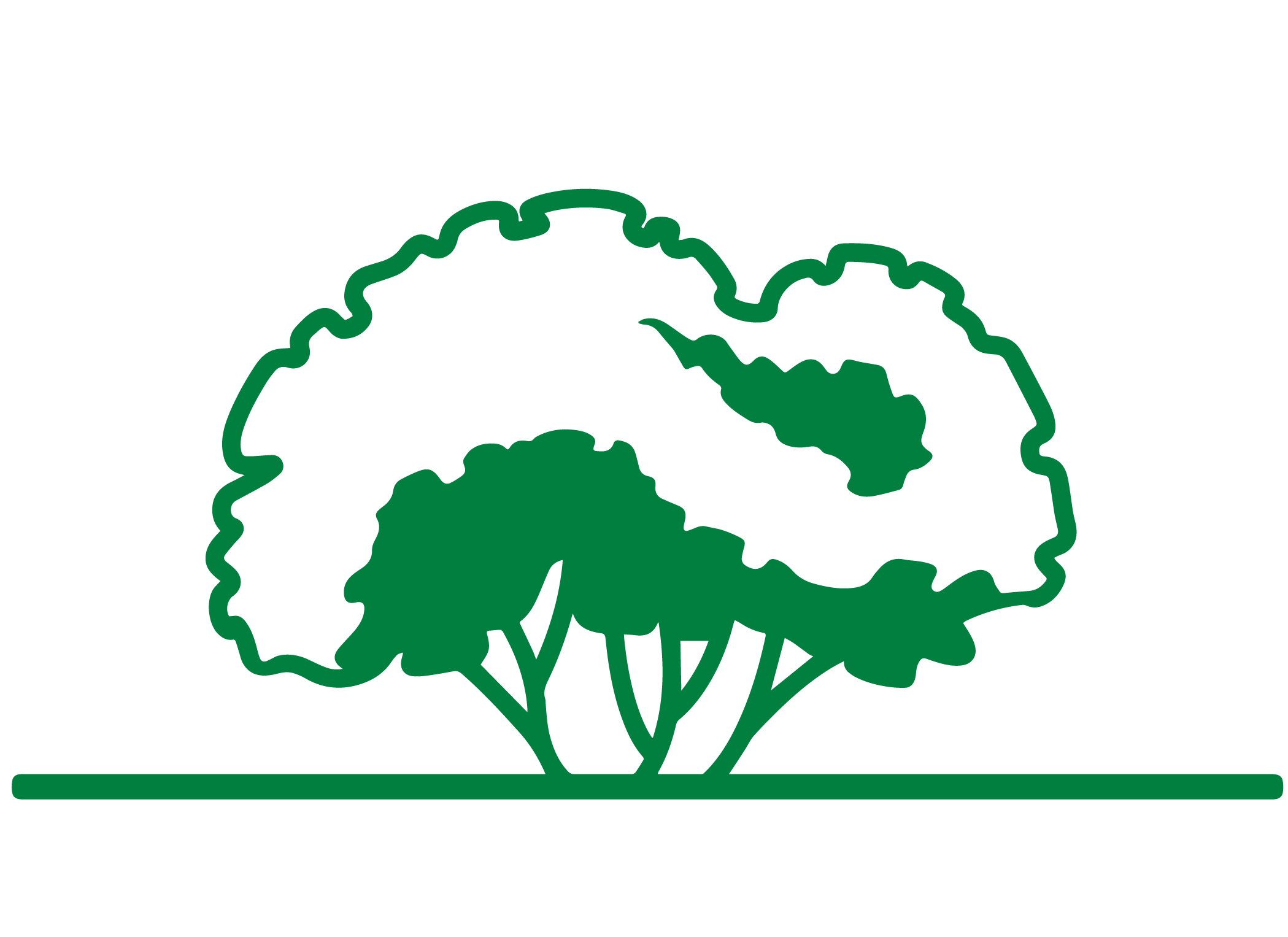 Absolute Tree Surgeons white logo