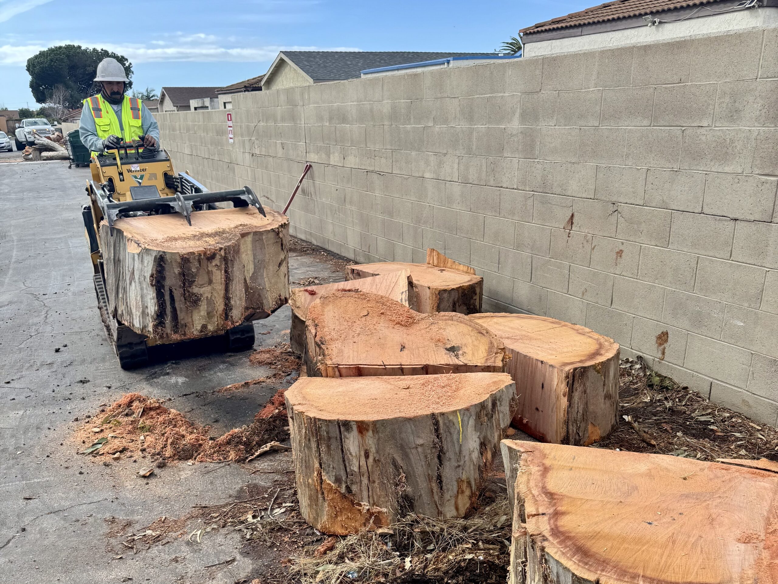 Large tree removal with stump sections and heavy equipment at a residential property in Los Angeles